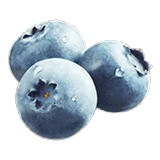 Blueberry