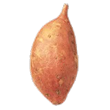 Sweet Potato