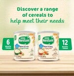 Nestum Wheat & Fruits Cereal